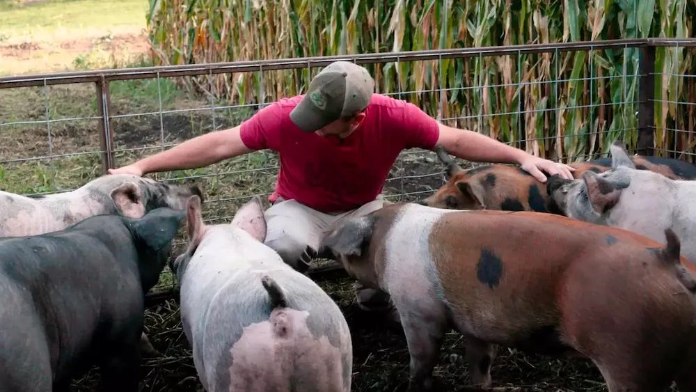 The_Ent_Factor's tweet photo. The documentary FOOD, INC 2 (2023) has been released on Blu-ray

https://t.co/LpbqiTs0G3

#bluray #documentary #foodinc2 @MagnoliaPics @FOODINC2 https://t.co/Ywgl7HafDu