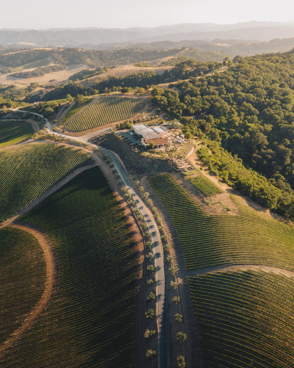 DAOUvineyards's tweet photo. HONORED! DAOU Vineyards is once again nominated for Best Tasting Room in America by @USATODAY! We won this category last year thanks to your incredible support, and now we have a chance to win again.

You can vote here until 7/21/2024: 
https://t.co/M9KBJlvs1x

Thank you 🩷 https://t.co/e7iKhYjXHm