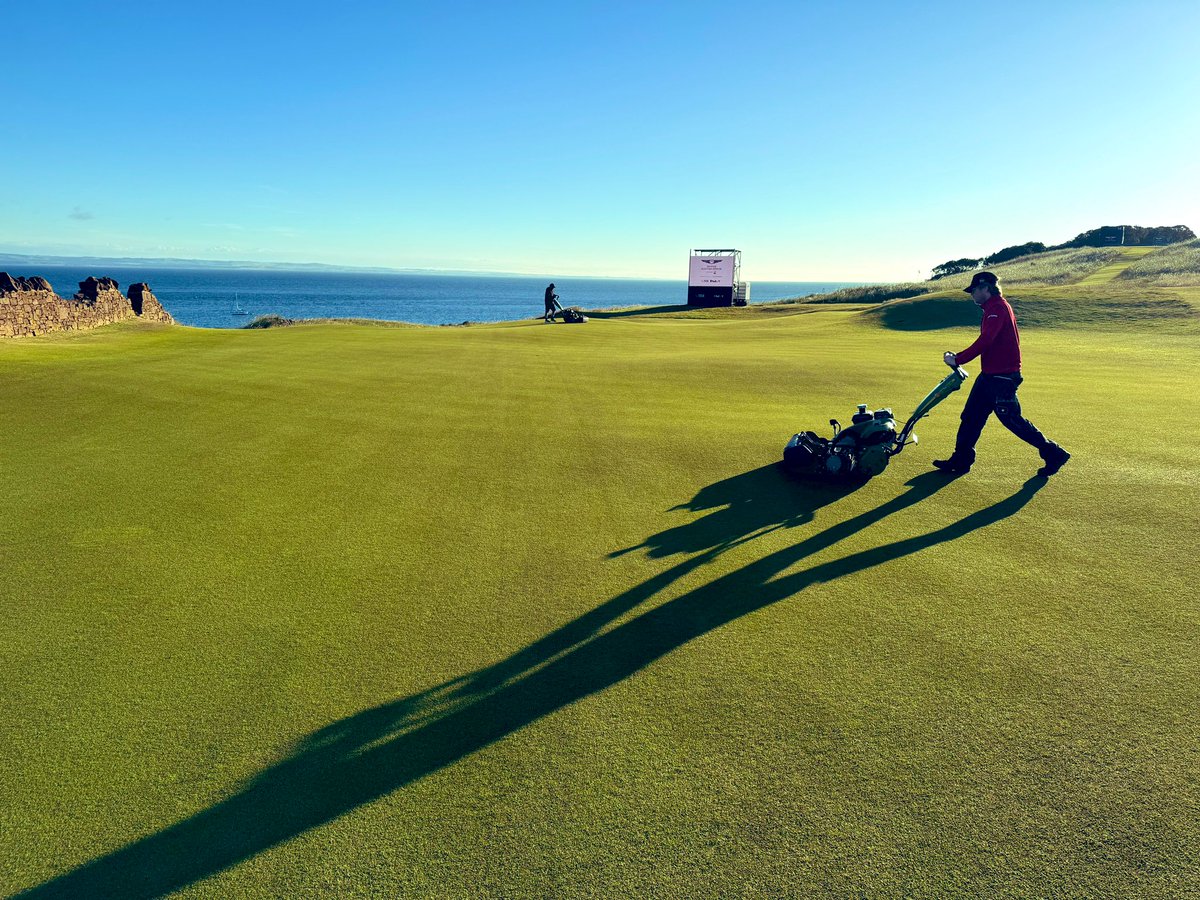 Wayne Aris tweet media