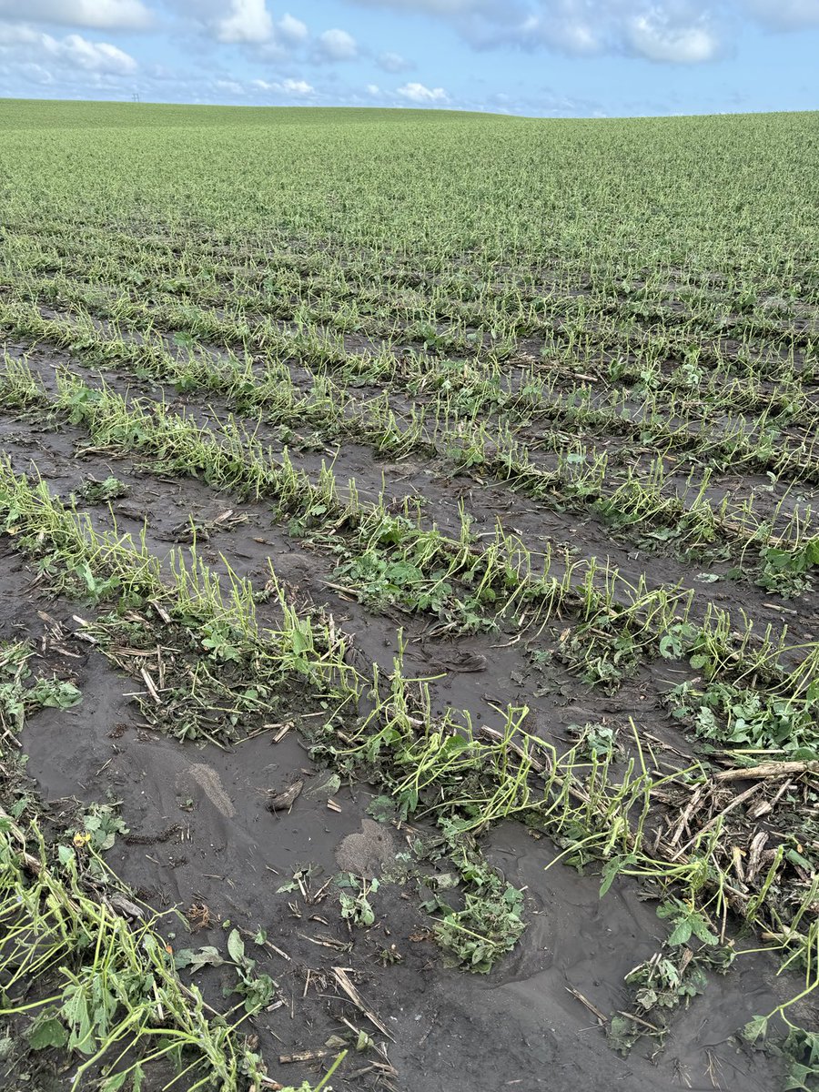 KVanray's tweet photo. Not a good night in Pettibone ND https://t.co/5DeA7IEJFW