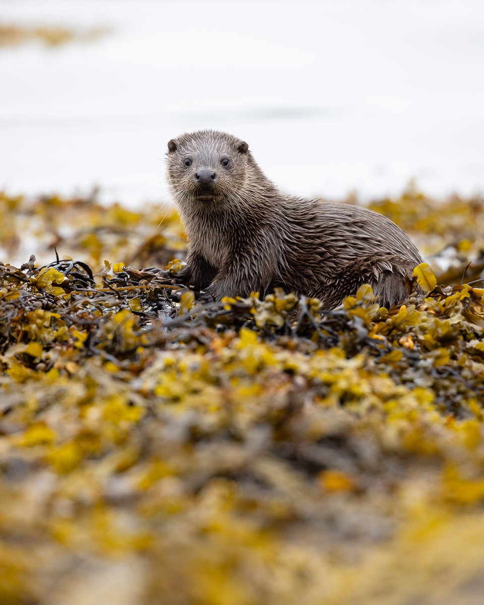 Harry Martin Photography tweet media