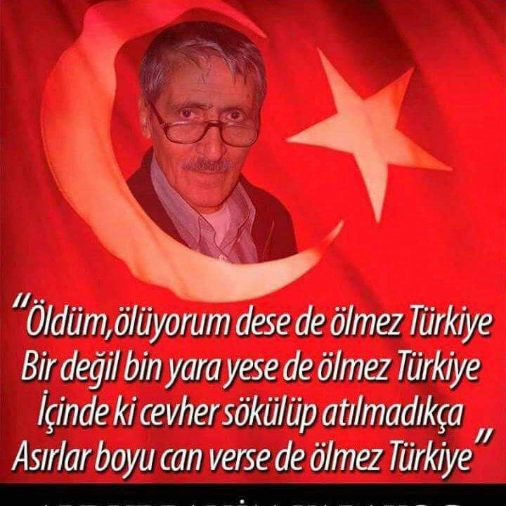 celal sürgeç (@celalsurgec) on Twitter photo 