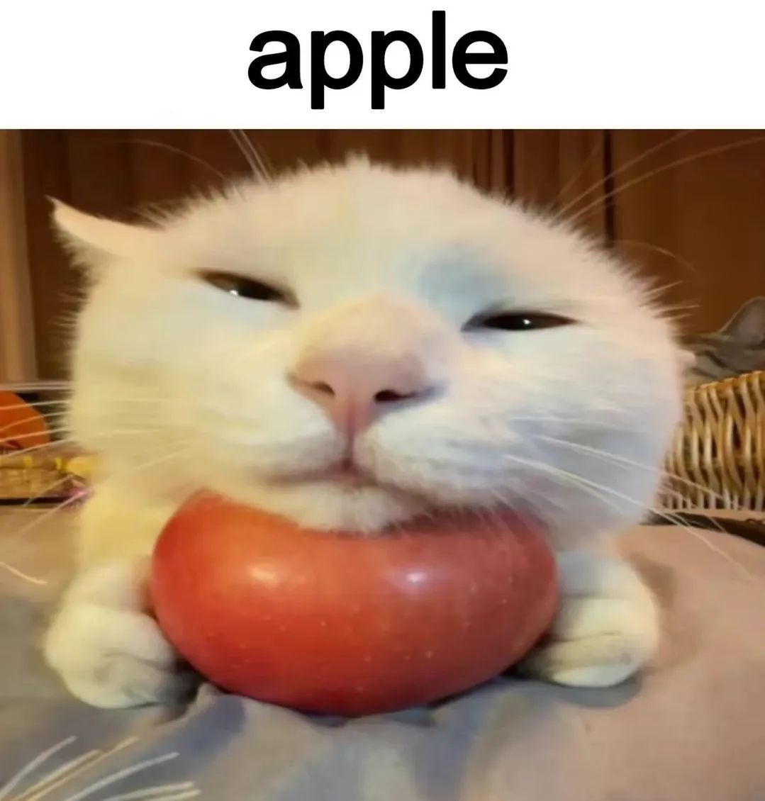 PunchingCat's tweet photo. his greed knows no bounds https://t.co/gNrWP3hQDi