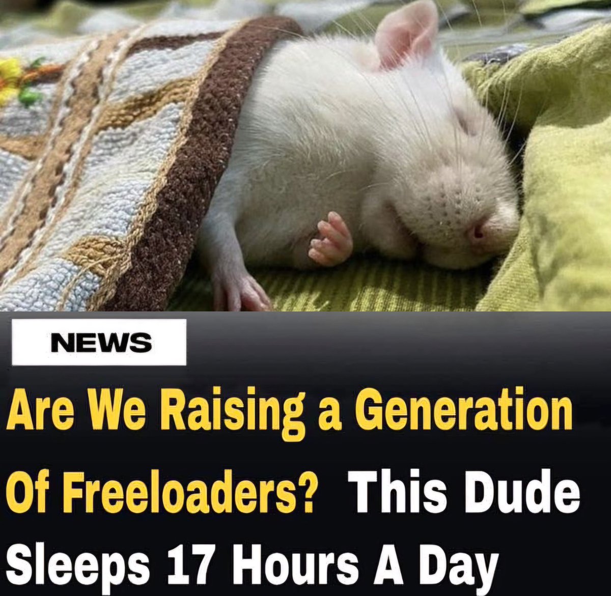 NEWS: Are We Raising a Generation Of Freeloaders? This Dude Sleeps 17 Hours A Day