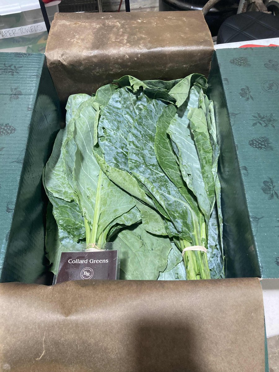DrTanviSacharX's tweet photo. My clients first produce box launch started today. Started this product management last year in October. Love to see peoples visions come to life.  Seriously the best feeling. 🥺🥬 https://t.co/oYyy0XmXmP