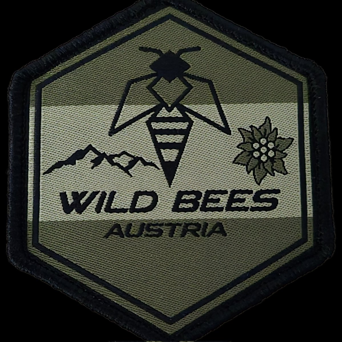 WildBeesAustria's tweet photo. #NeuesProfilfoto https://t.co/kgTtlm3AUJ