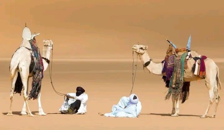 wIalofsFPQOEhAk's tweet photo. « Quand tu voyages, prends deux sacs : l'un pour donner, l'autre pour recevoir. » - Proverbe Touareg ⵣ https://t.co/Lj0s6TQevc
