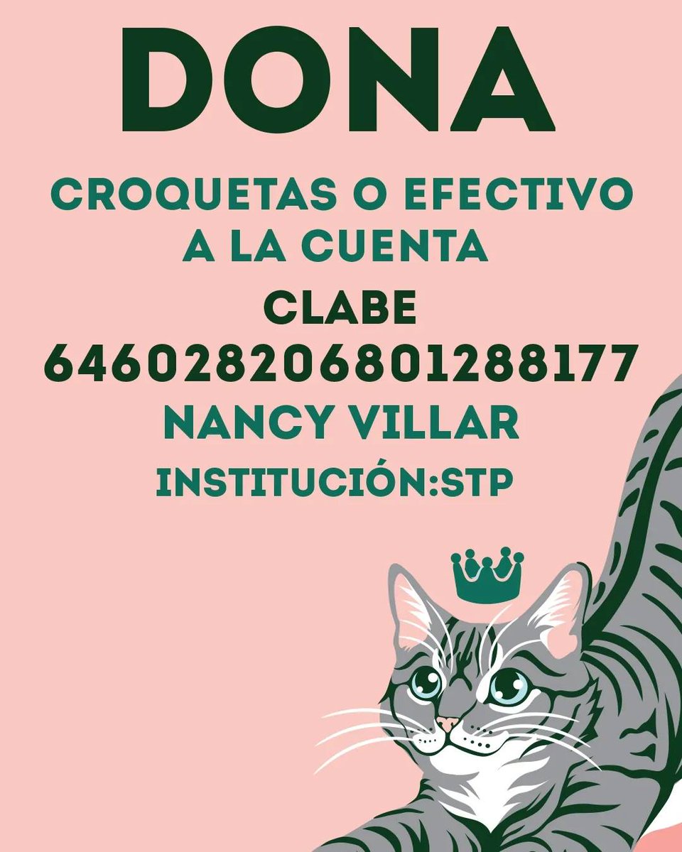 #hagamosrealidadgatofest2024