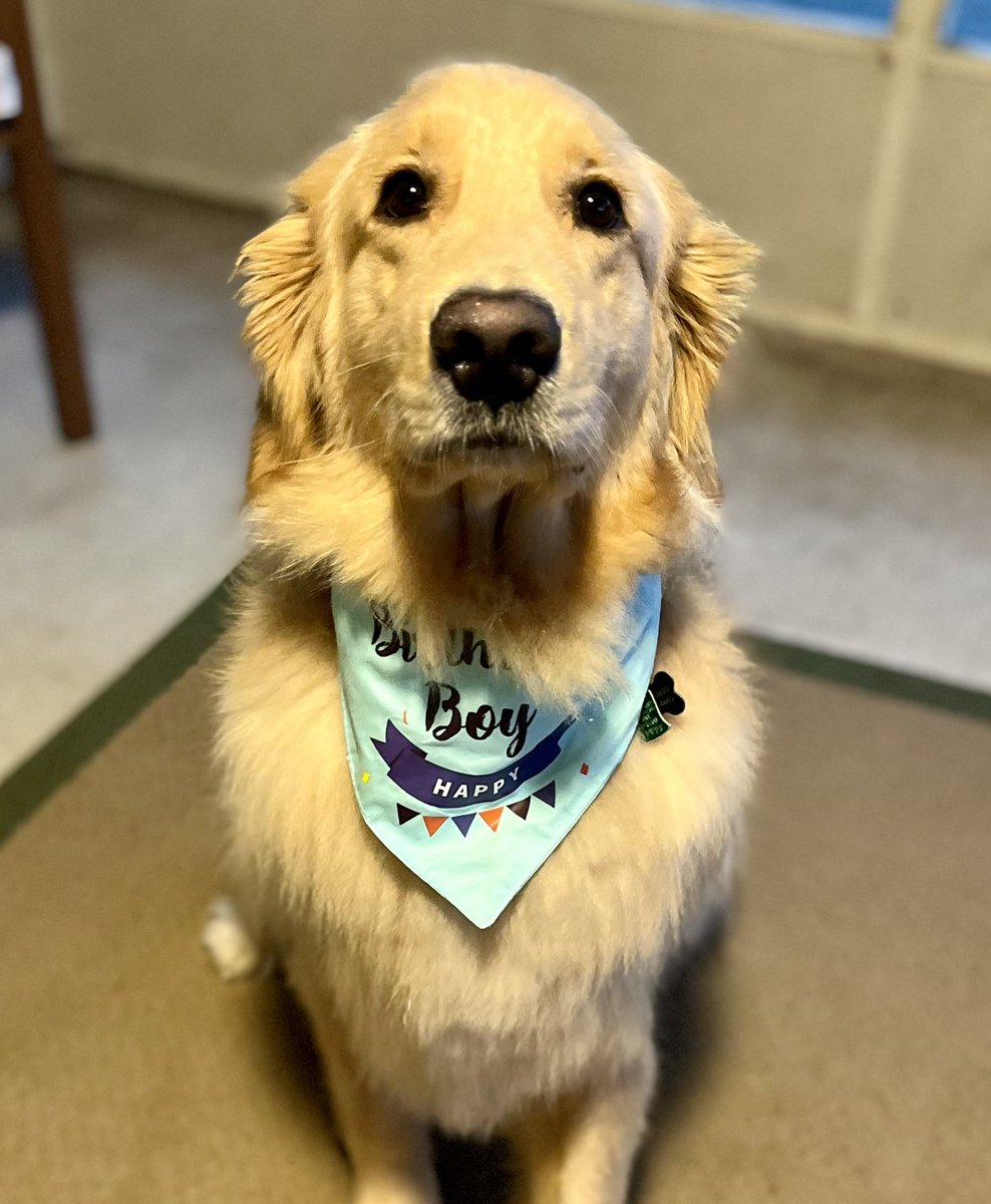 Was just informed he was not the VP pick. Totally ok with it … just wants treatos.