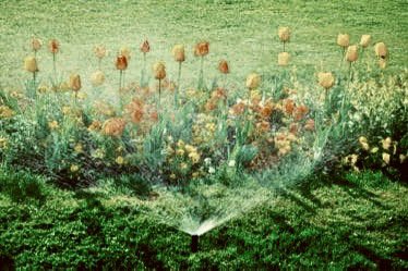 Sono belle quelle persone 
che pretendono di amarti 
come gli spruzzini nei 
giardini pubblici a tratti,
a orari e in base alla 
pressione dell’acqua.

#lunedi
#riflessioni