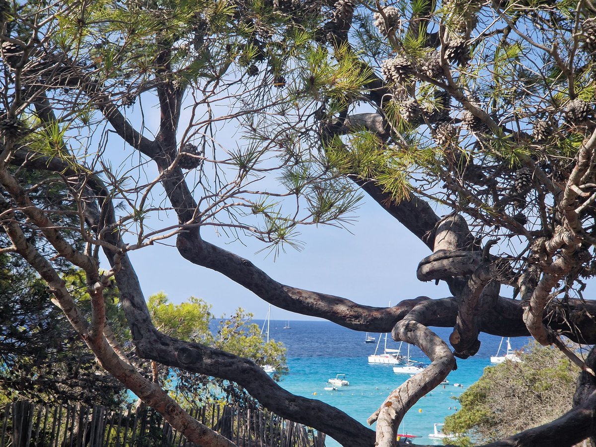 emma_bndlr's tweet photo. @gaspardooo La Corse 😍 https://t.co/MTVPEYSZAP