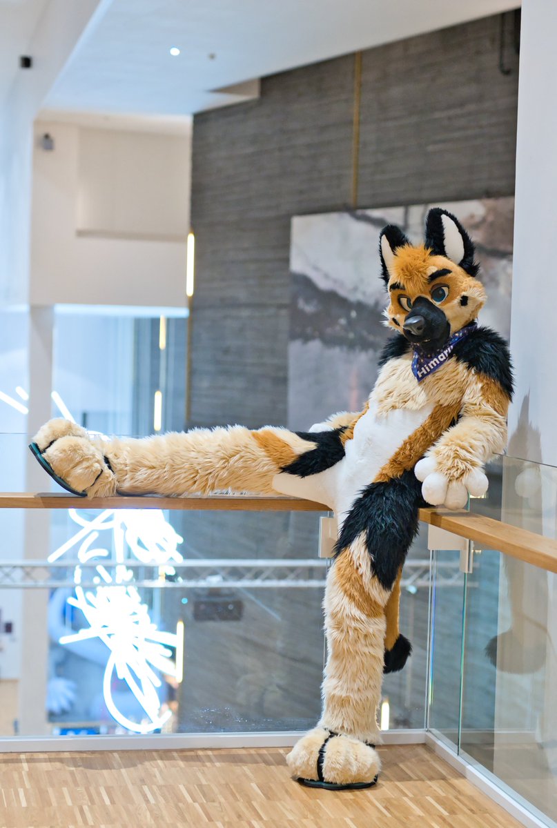 ❤️🐾H.M.S. ひまる 🐾❤️ 🔜 NFC-Furciety 👀 tweet media