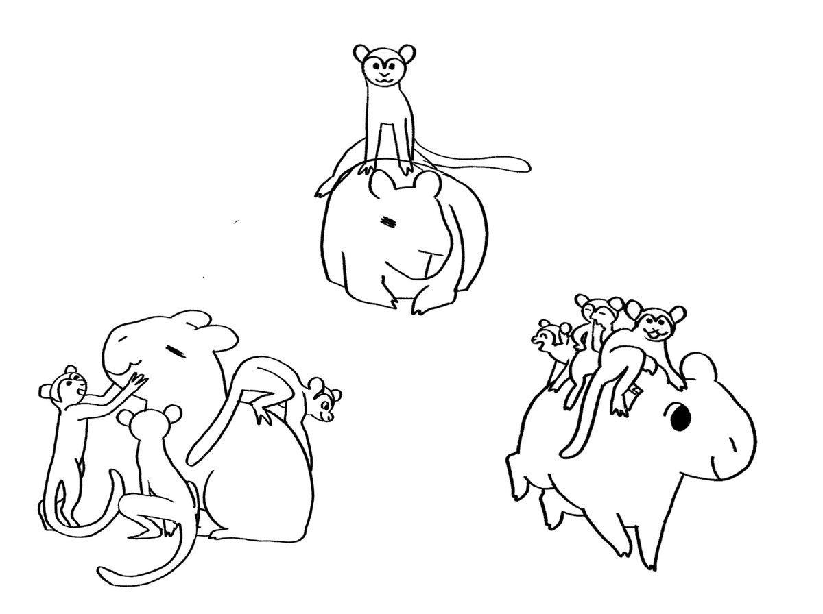 capydoodle(￣(ｴ)￣)zzz tweet media