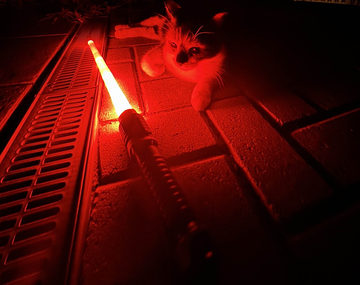 SolanaCatWars's tweet photo. THE DARK SIDE - $WARS
#CATWARS https://t.co/3KCdI0l6WC