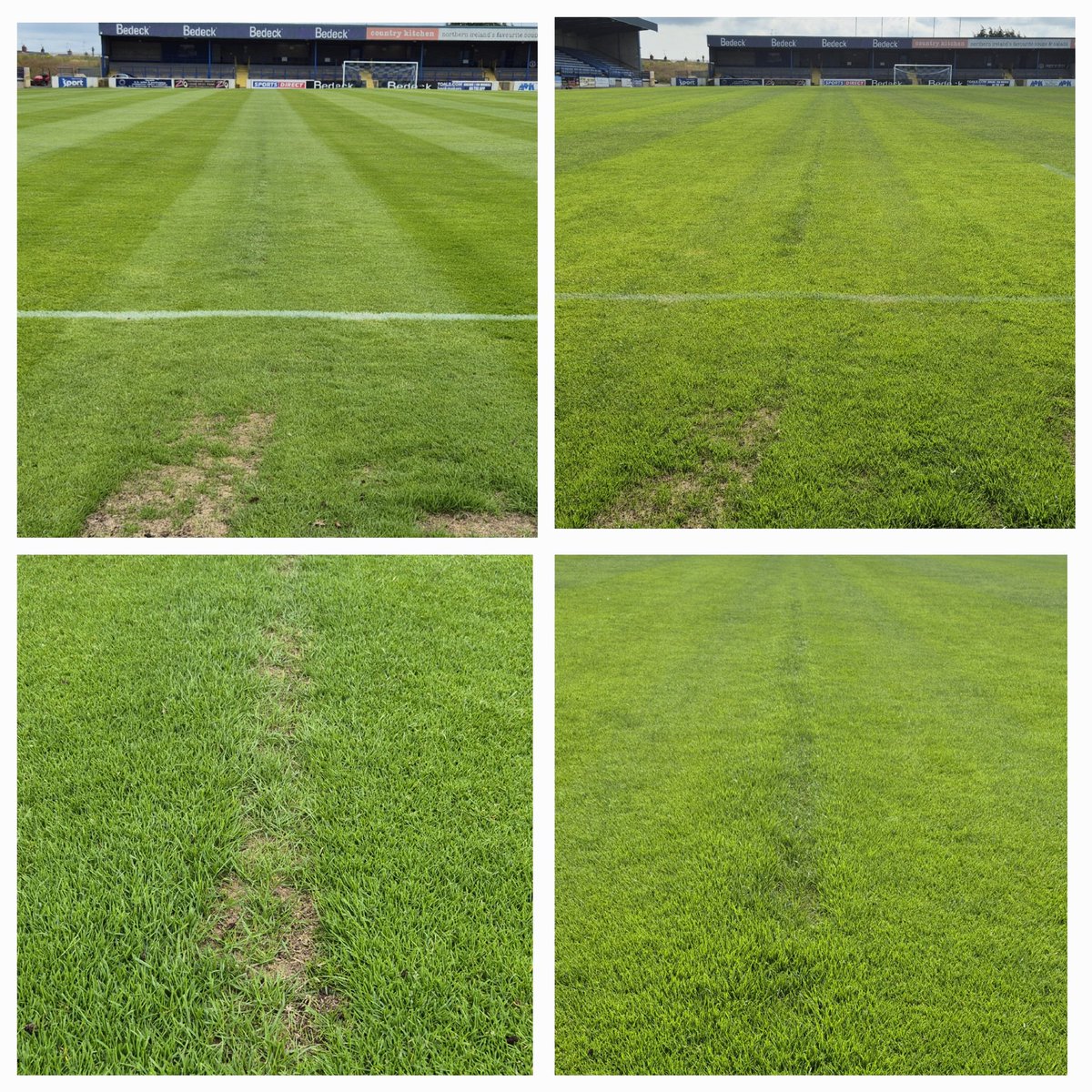 bluegroundforce's tweet photo. Already seeing a difference after only 3 days. Sprayed @humusoil on Friday, bit of heat over the weekend and in today to a decent growth. Some blemishes caused by weedkiller coming off on wheels starting to fill in after an extra spray with the knapsack. Very happy so far https://t.co/WAN70WGSuQ