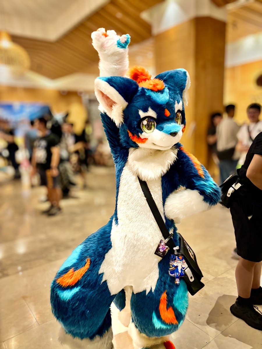 ByakuyaCoyote's tweet photo. #FurMIT24 #pdtk

輝きな一番星✨💙

（重複した写真を送ってしまったのと、修正に満足できなかったため、再度投稿します）

@fw_rion_ https://t.co/iHvtuW8mx5