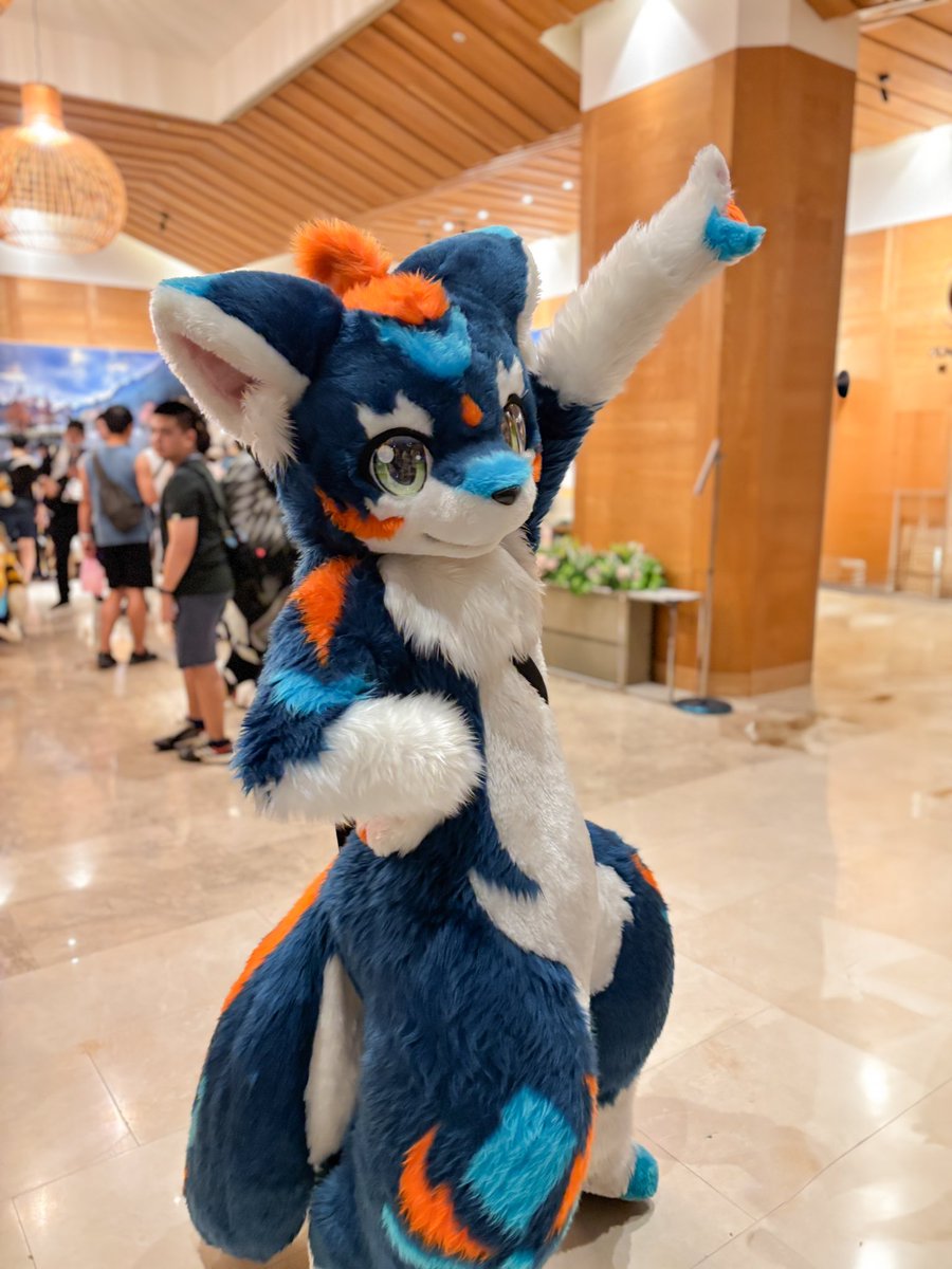 ByakuyaCoyote's tweet photo. #FurMIT24 #pdtk

輝きな一番星✨💙

（重複した写真を送ってしまったのと、修正に満足できなかったため、再度投稿します）

@fw_rion_ https://t.co/iHvtuW8mx5