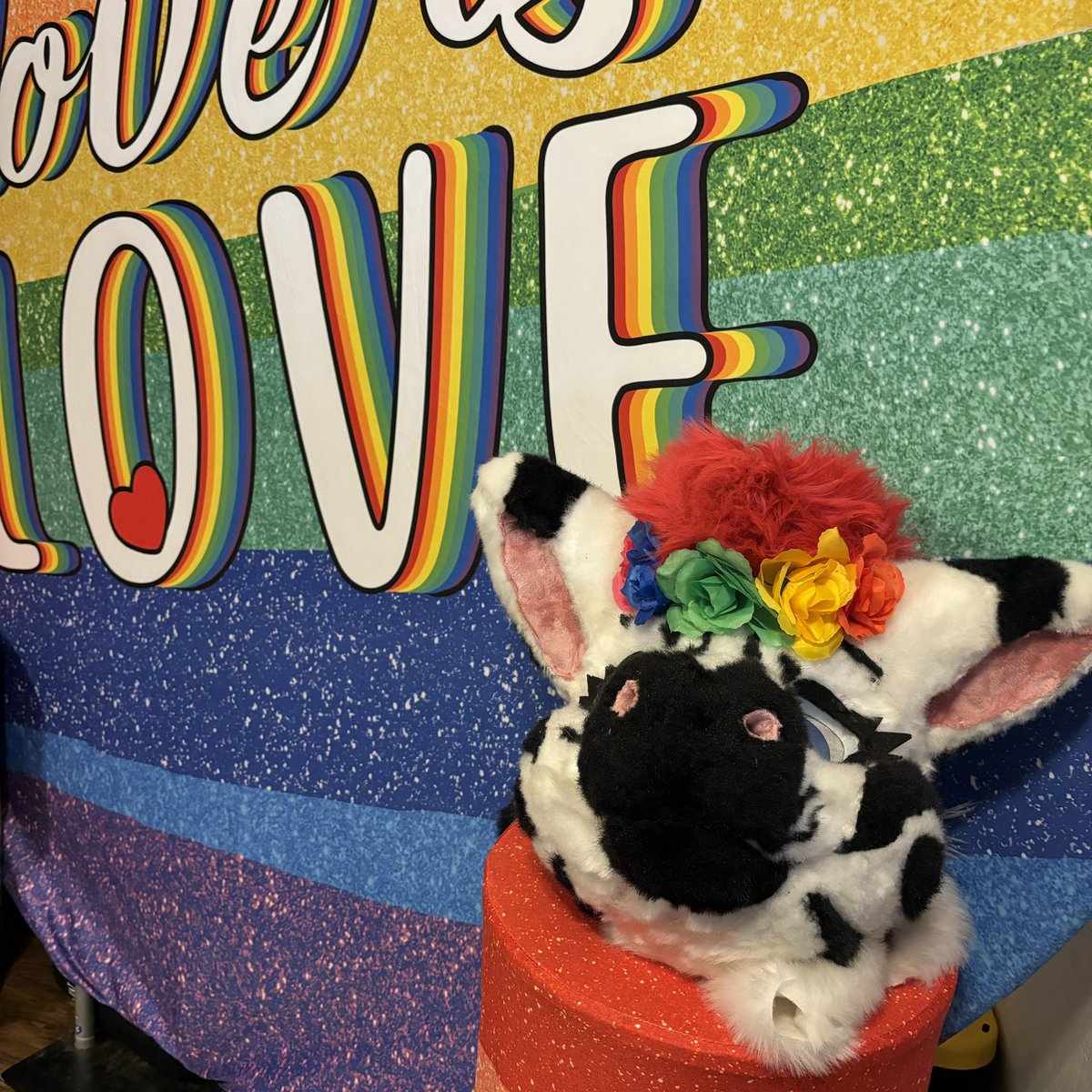 NovaSecondStar1's tweet photo. When to an LGBTQIA plus brunch on Sat. They were so excited to see me and I even learned there were three other furries at the brunch. You bet I will be at more of these brunches. #lgbtqia #loveislove #furfam #zebrastrong https://t.co/Oj7aOTfFJM