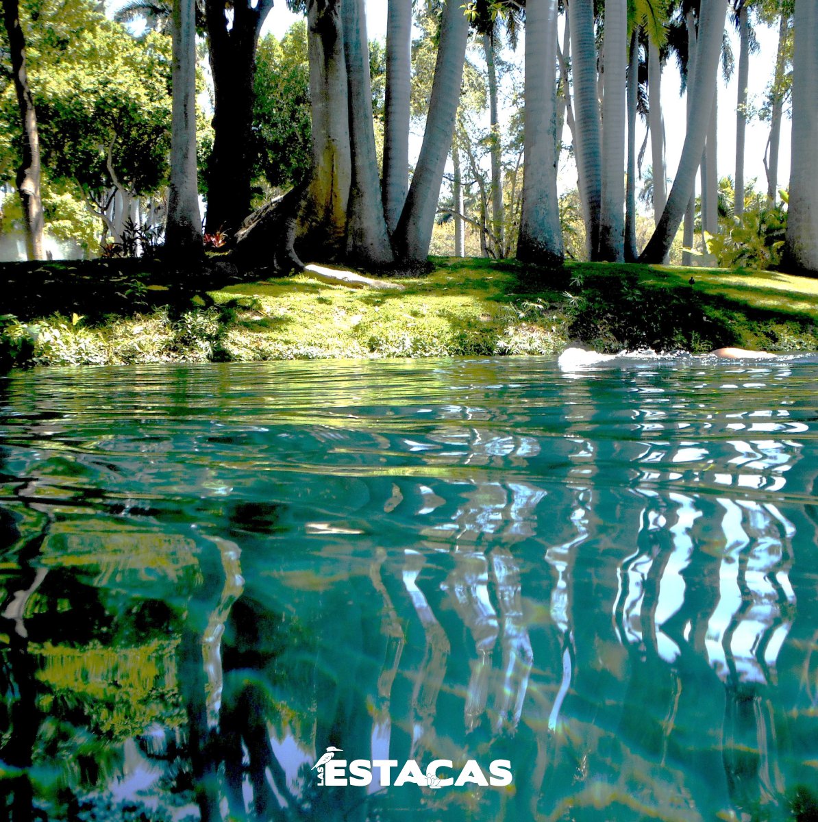 En #LasEstacas te espera un paraíso lleno de aventuras, naturaleza y diversión. ☀️

Ven a perderte entre los rincones del paraíso 💚

¡No esperes más! Reserva pronto en ➡️ lasestacas.com