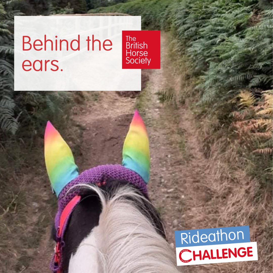 We’re looking for the best, cutest, most-colourful, fluffiest or pointiest ears! 🐴 

📷 Share your photos using #RideathonChallenge

#KeepBritainRiding