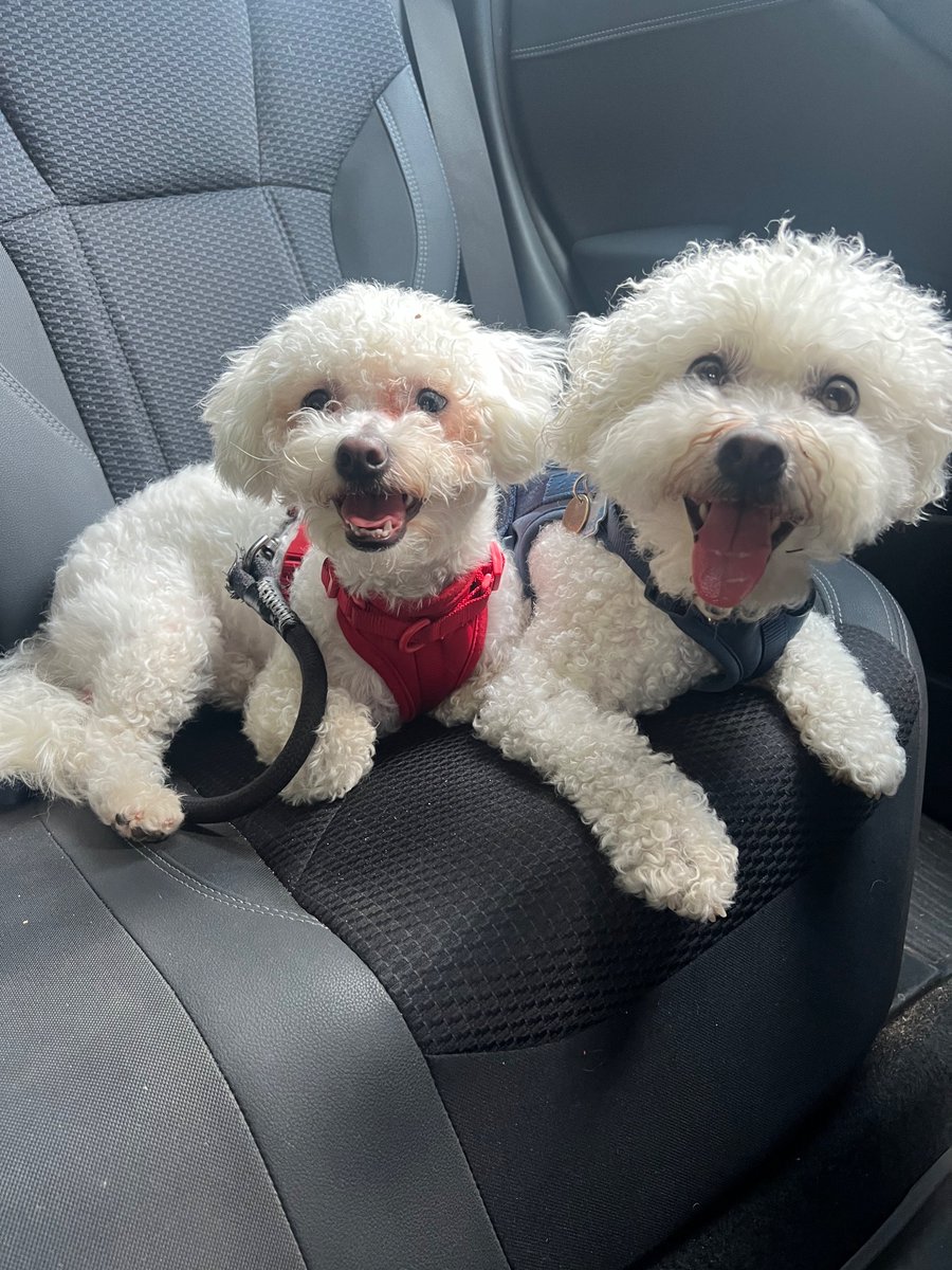 Howie Zisser tweet media