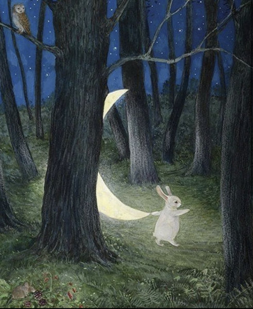 TitaniasRealm's tweet photo. Taking the moon for a walk in the woods https://t.co/jVDwZW6ftx