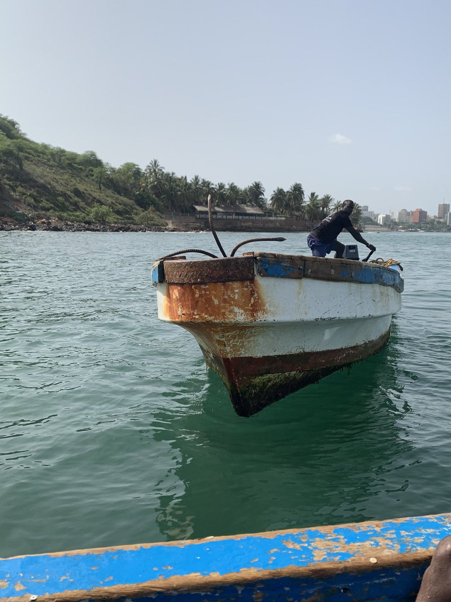 racky 🇸🇳 tweet media