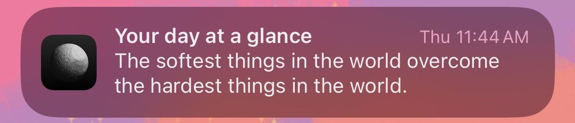 wiseaus's tweet image. cats whenever anything mildly inconvenient happens: