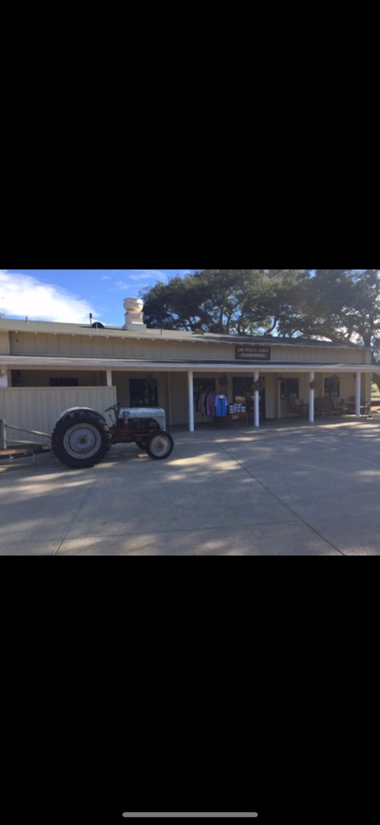 Gordon Black tweet media