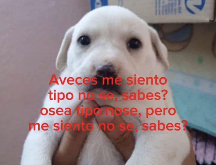 Antonio DeLa (@antoniodela111) on Twitter photo 