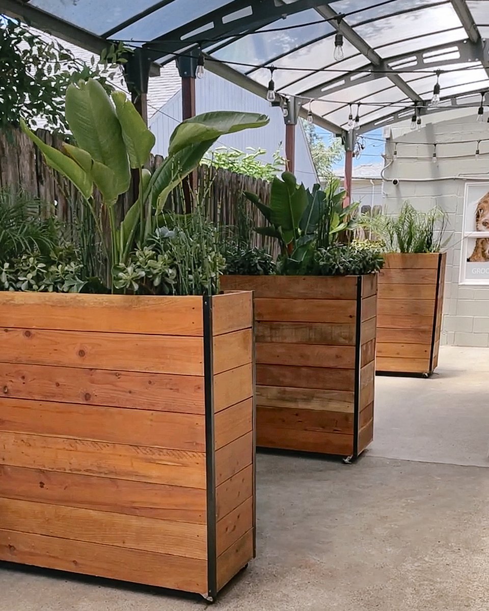 FacesofChaChas's tweet image. The last photo is our patio's BEFORE pic 😲. @SacCityStems made our doggie daycare &amp;amp; grooming salon SO much cooler! AND, if the lobby is busy, you can just tuck away into one of these plant cubbies with your pup 😆🌿.

#sacramentosmallbusiness #sacblackbiz #eastsac #doggrooming