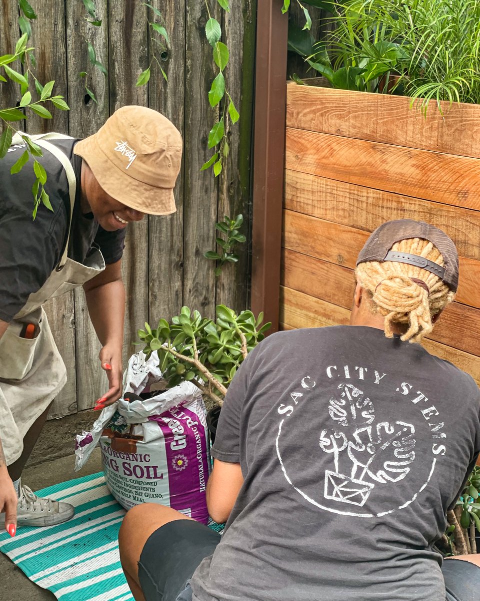 FacesofChaChas's tweet image. The last photo is our patio's BEFORE pic 😲. @SacCityStems made our doggie daycare &amp;amp; grooming salon SO much cooler! AND, if the lobby is busy, you can just tuck away into one of these plant cubbies with your pup 😆🌿.

#sacramentosmallbusiness #sacblackbiz #eastsac #doggrooming
