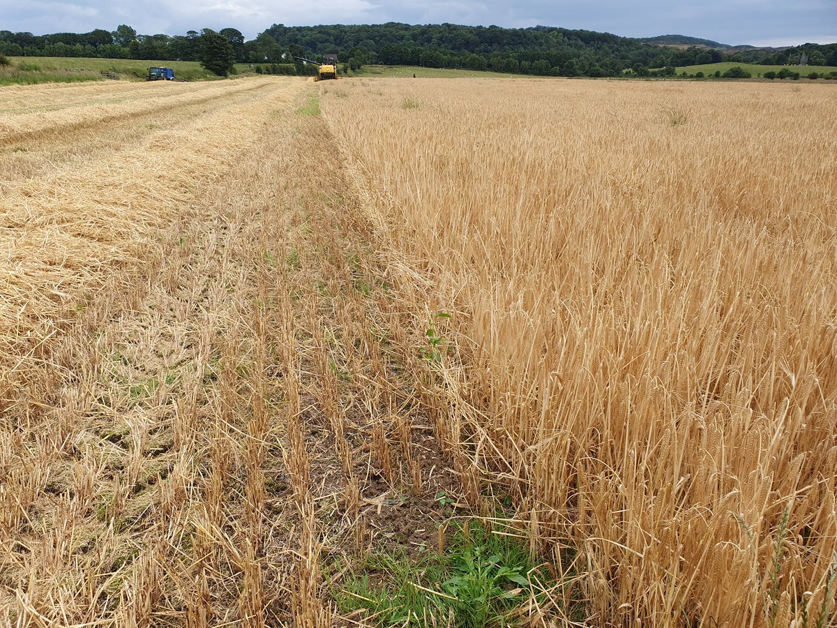 The only record broken this year is the start date! 🤦‍♂️