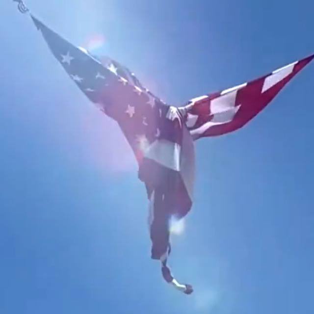 𝖒𝖎𝖗𝖆𝖌𝖊 tweet media