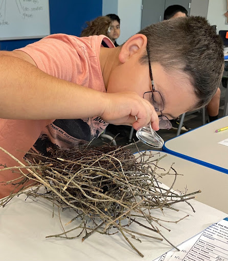lincolnwoodsd74's tweet photo. SD74 Summer Adventures is in full swing! From cooking and movie-making to building Legos and preparing for the next grade level, students are engaging in fun and productive lessons and activities. And bringing a ton of energy and enthusiasm with them each day! https://t.co/y1gAGErd6h