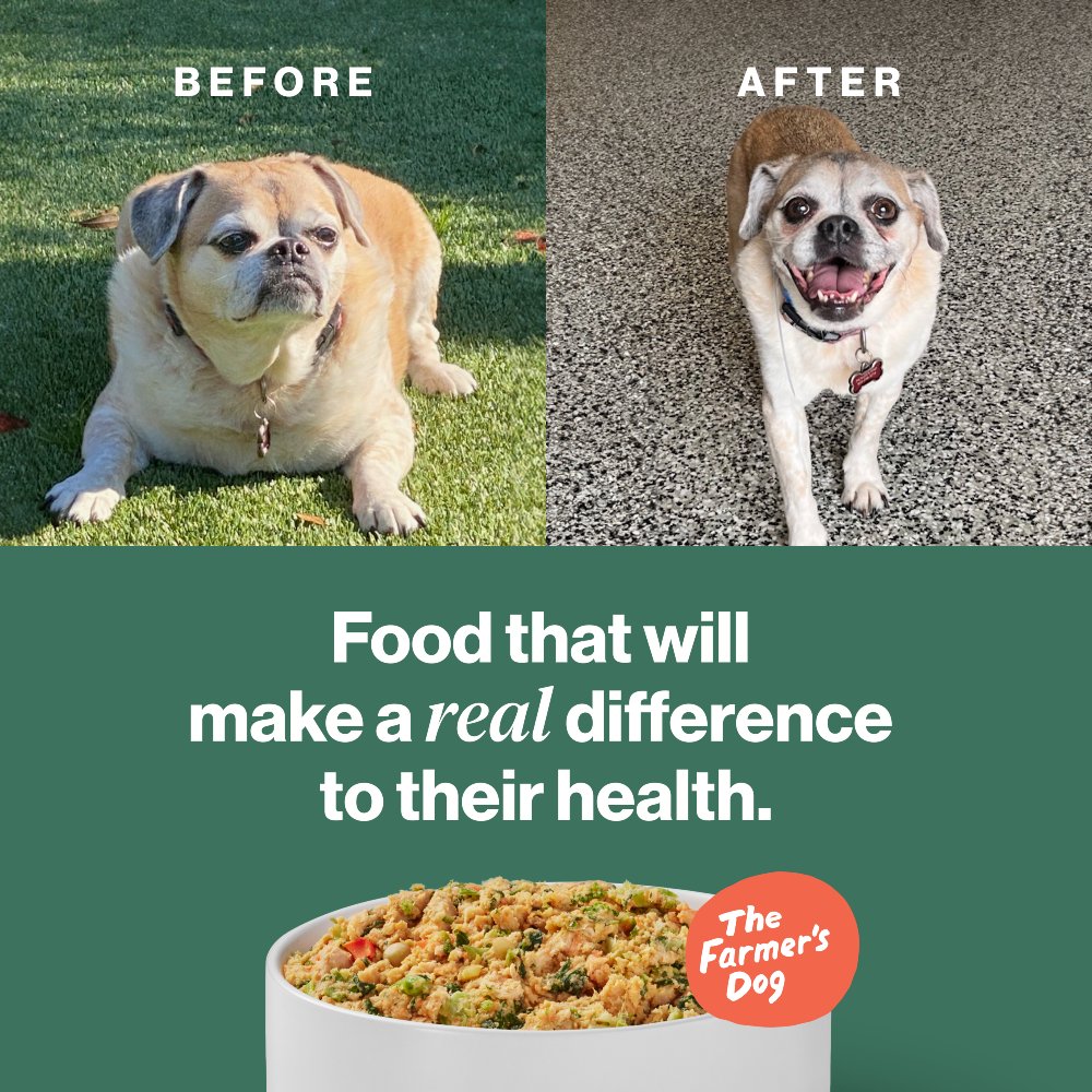 The Farmer’s Dog motto is “Long Live Dogs” and we couldn’t agree more. Their fresh, real food is healthy and made to the highest safety standards, making us proud to feed it to our pups. Click the link for an amazing discount on your first 2 weeks!

discover.thefarmersdog.com/danspetcare