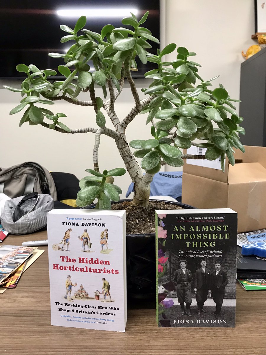 Paul Twigg tweet media