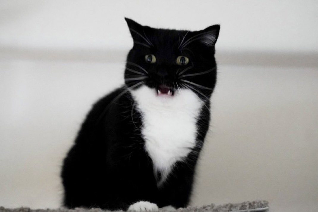 𝒏𝒊𝒏𝒊𝒊𝒊 ❥ (@niniya__) on Twitter photo 