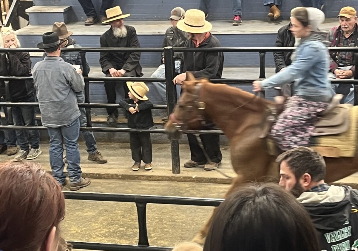 WritingWOMEN's tweet photo. At the Five Hundred Ponies Sale https://t.co/J7ESEaBFB4 https://t.co/LFAKxuKZwH