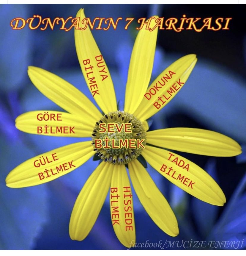 guler ortunc (@gulerortunc) on Twitter photo 