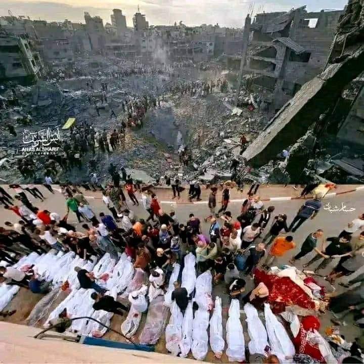 Gazze'de ki Soykırımı duymayan kaldımı hayır!

Neden hiç kimse bir şey yapmıyor sadece izliyor?