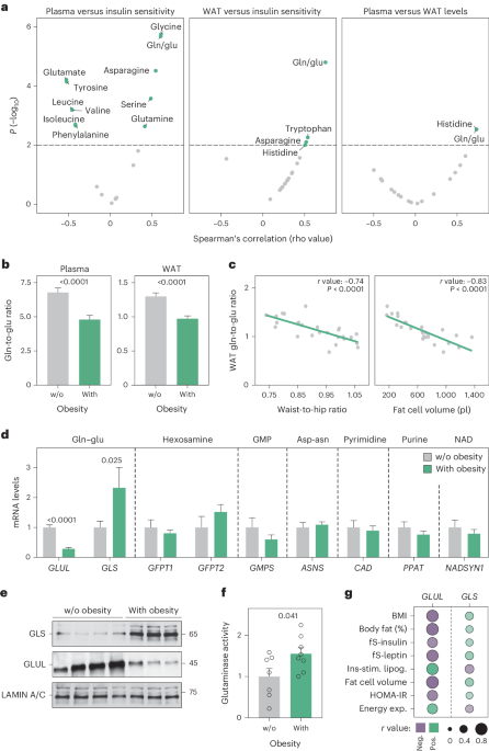 Online now! Reduced adipocyte glutaminase activity promotes energy expenditure and metabolic health dlvr.it/T9dG0d