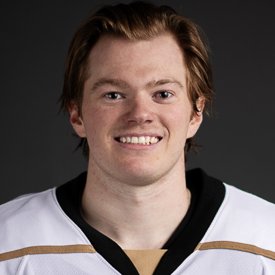 ECHL Week tweet media