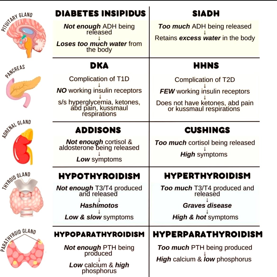 Doctors__squad's tweet photo. Endocrine disorders ✔️ https://t.co/JzmNNOvZzs