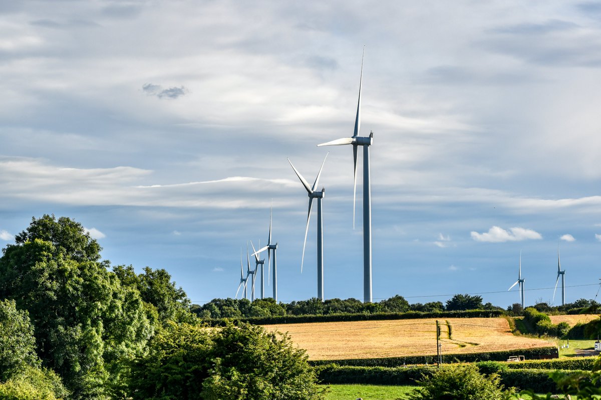 Kenneth Gallery Smyth tweet media