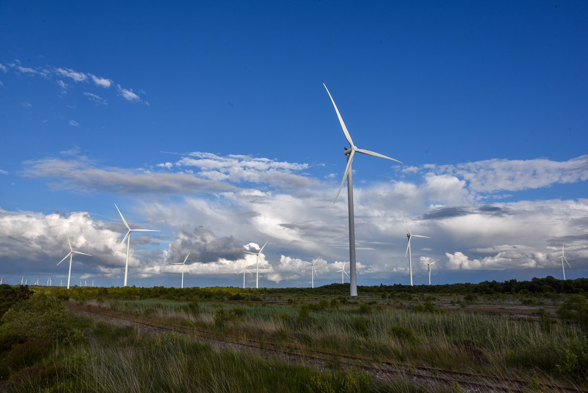 Kenneth Gallery Smyth tweet media