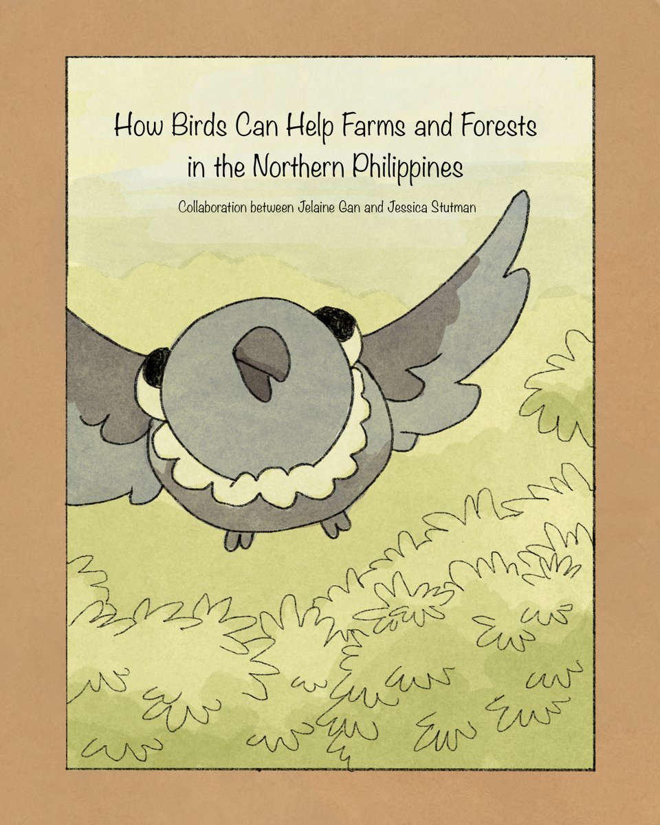 jelaine_gan's tweet image. Excited to share this sci-com comics collab w/ @HuWantsToKnow and artist Jessica.Stutman from @MassArt! 

Sneak peak at &quot;How birds can help farms and forest in the Northern Philippines&quot;, whole comics to be posted soon! Research supported by @rufford, FFP &amp;amp; @SciencesNCL