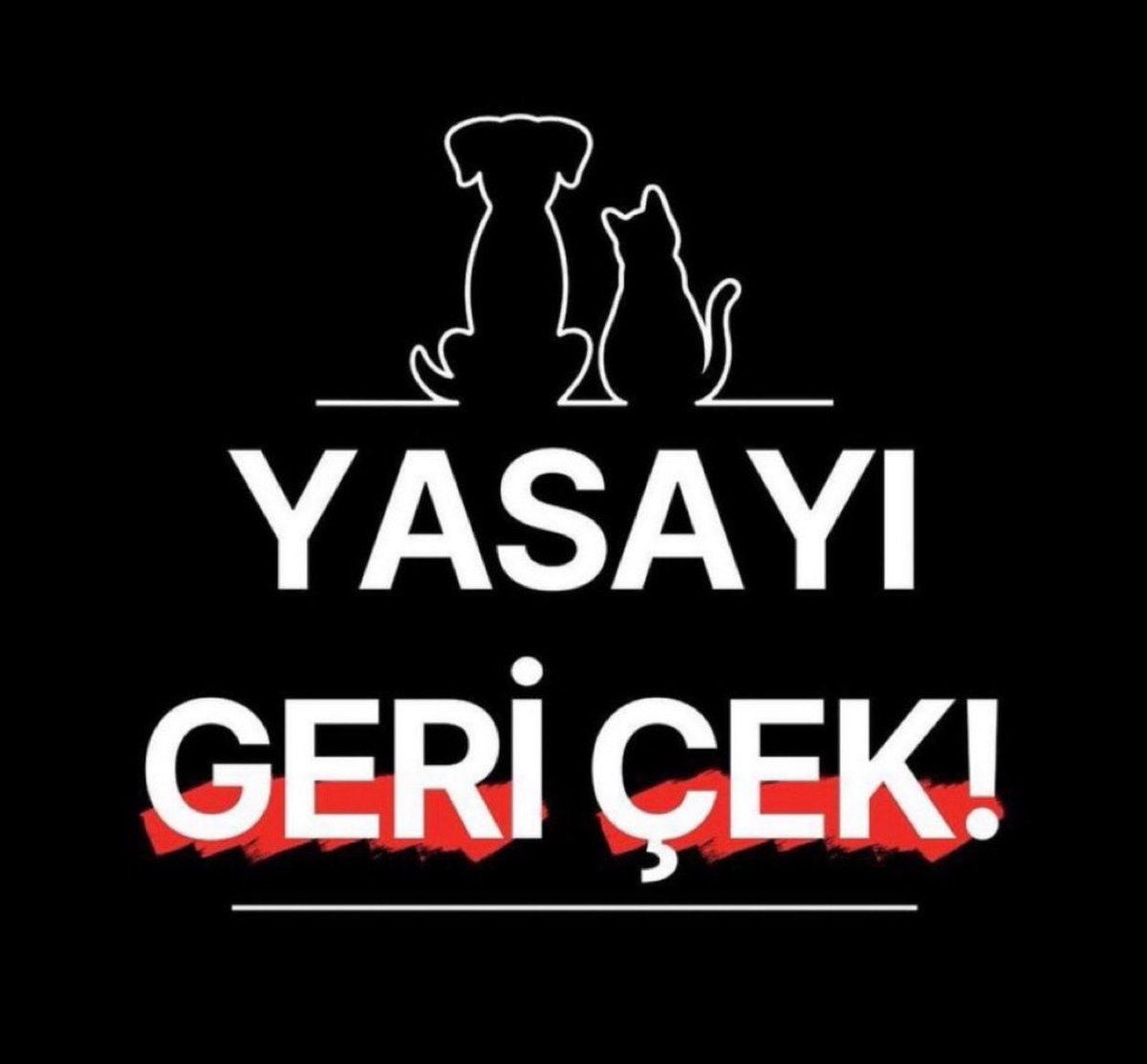 cenkerenonline's tweet photo. #yasaGeçirilemez https://t.co/uMWJaHV6RJ