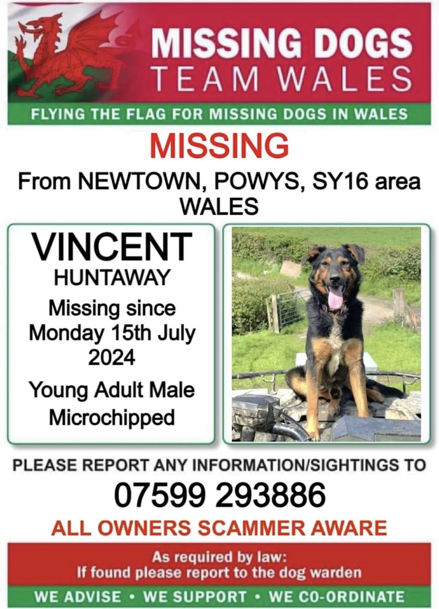 ‼️SIGHTINGS NEEDED PLEASE ‼️
IF VINCENT IS SEEN PLEASE CALL THE NUMBER ASAP ON THIS POSTER ..

💥VINCENT A YOUNG ADULT MALE #HUNTAWAY MISSING FROM #NEWTOWN #POWYS AREA #SY16 #WALES 
Since MONDAY 15th July 💥
He is Microchipped