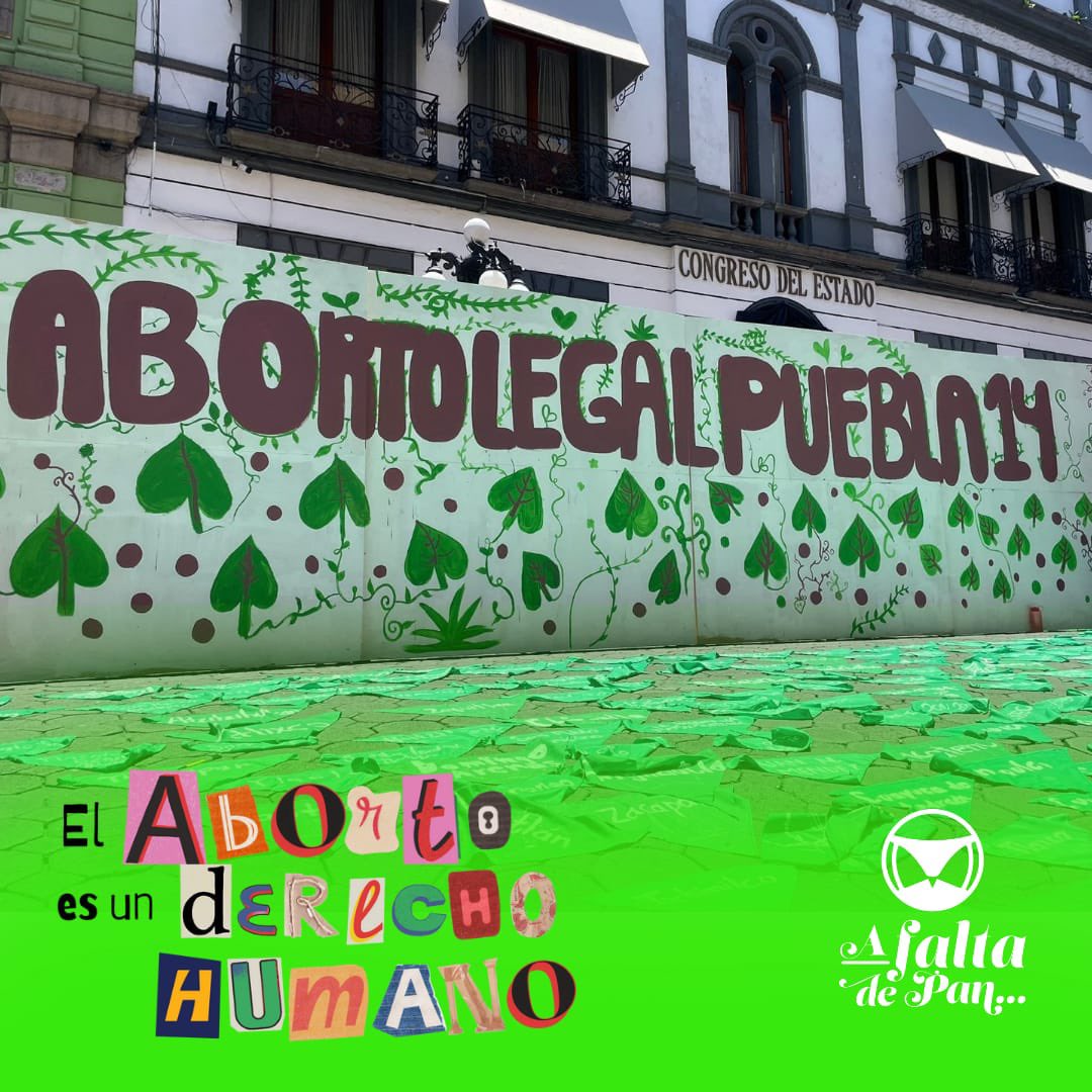Felicitamos y reconocemos el trabajo de mujeres y personas gestantes que históricamente han luchado por el drerecho al aborto en Puebla 🫂💚💜✨🔥

En Puebla #YaEsLey 

#Aborto #AbortoLegalPuebla #AbortoLegal #SeraLey #Puebla